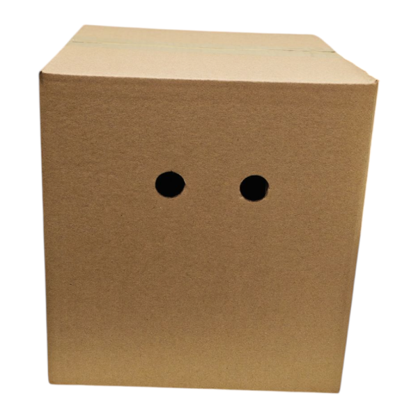 caja para bandejas de huevos